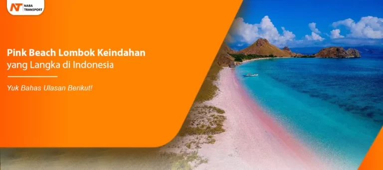 Read more about the article Pink Beach Lombok Keindahan yang Langka di Indonesia