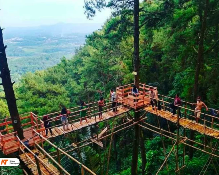 Wana Wisata Polowono​ - wisata batang​