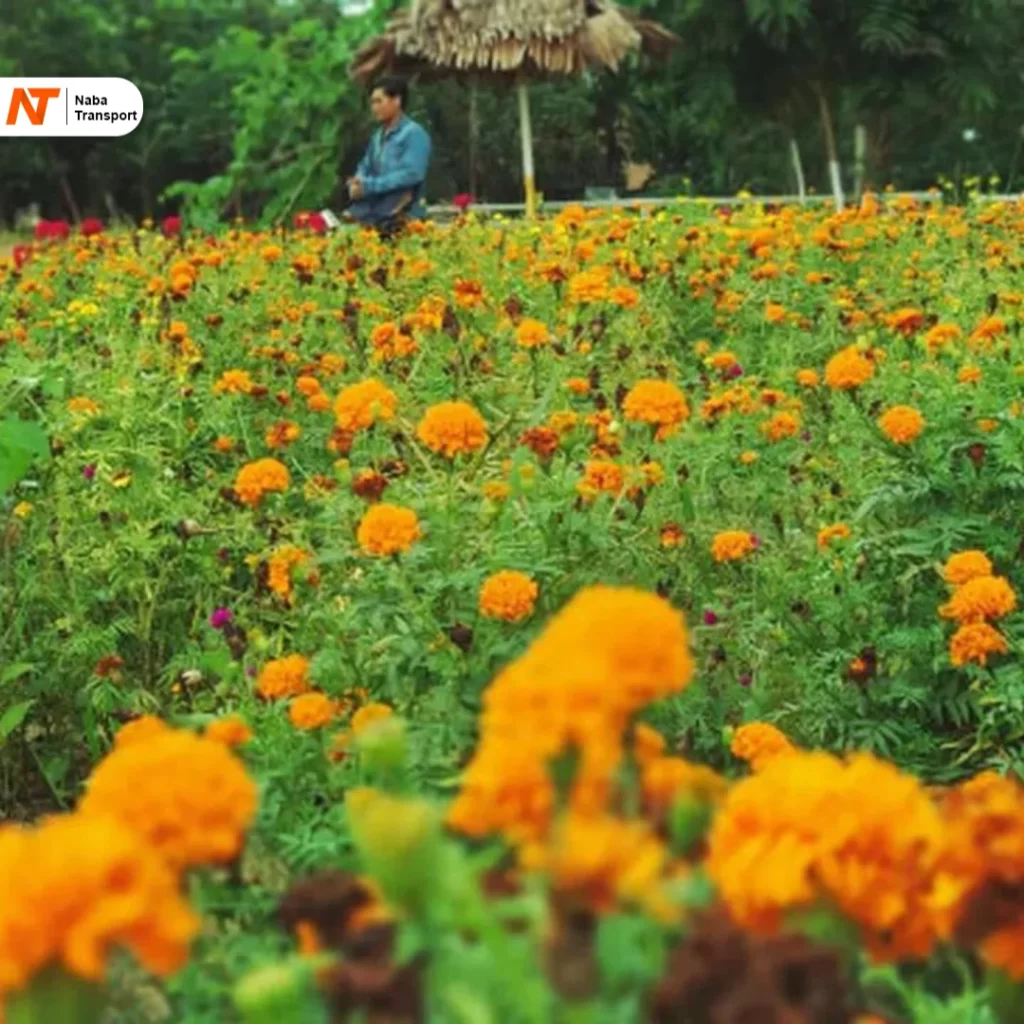 Desa OkuraSource : Google