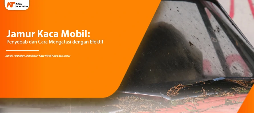 You are currently viewing Jamur Kaca Mobil : Penyebab dan Cara Mengatasi dengan Efektif