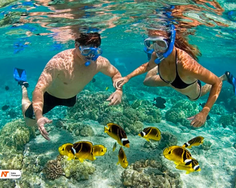 Source by Wandernesia