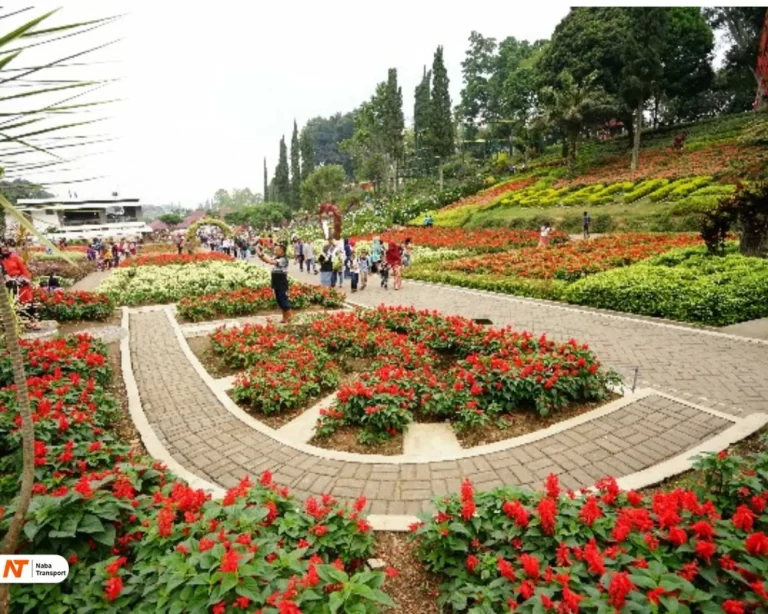 Taman Rekreasi Selecta