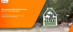 Read more about the article Mengenal Lebih Dekat Fauna Eksotis di Taman Safari Bogor