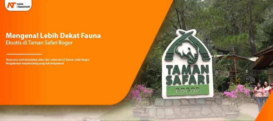 You are currently viewing Mengenal Lebih Dekat Fauna Eksotis di Taman Safari Bogor