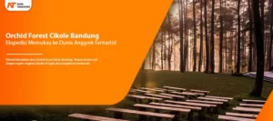 Read more about the article Orchid Forest Cikole Bandung Ekspedisi Memukau ke Dunia Anggrek Fantastis!