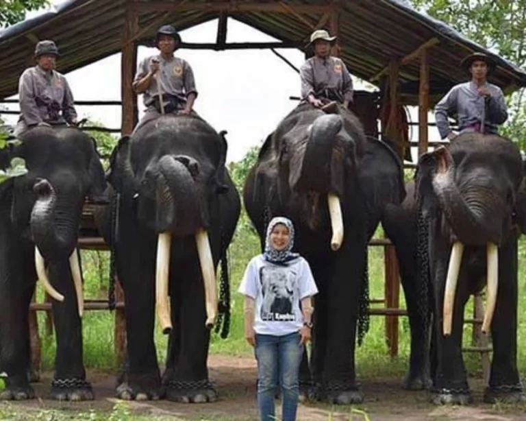 Taman Nasional Way Kambas