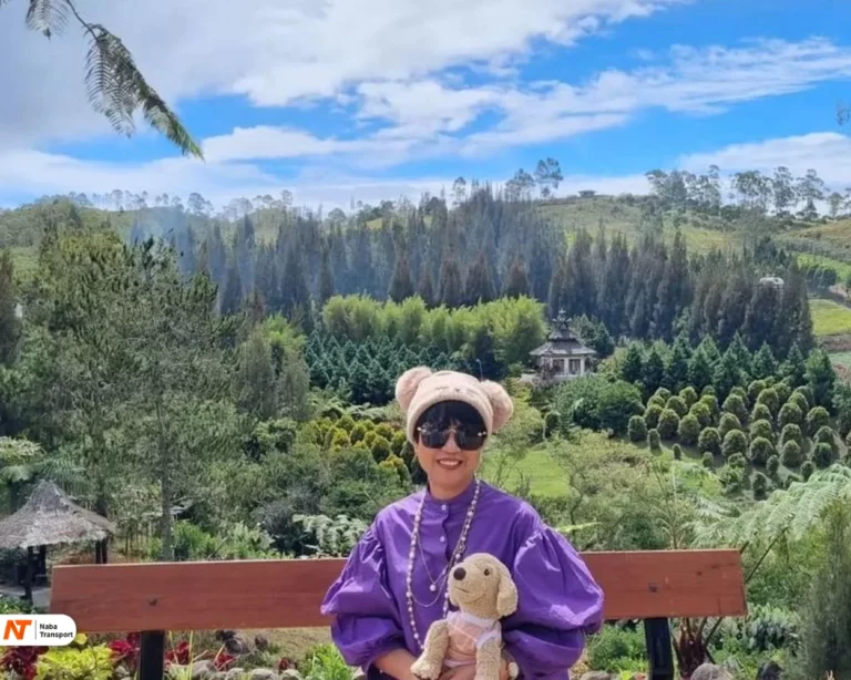 Pemandangan HiajuSource by Wisata App