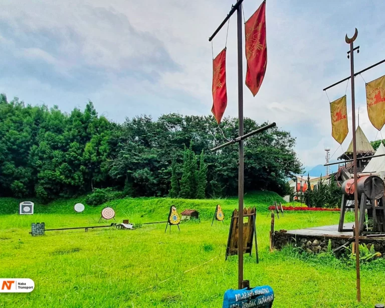 Source by momopururu