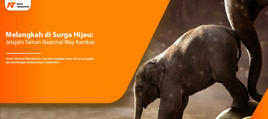 You are currently viewing Melangkah di Surga Hijau: Jelajahi Taman Nasional Way Kambas