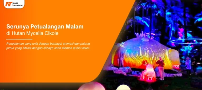 Read more about the article Serunya Petualangan Malam di Hutan Mycelia Cikole