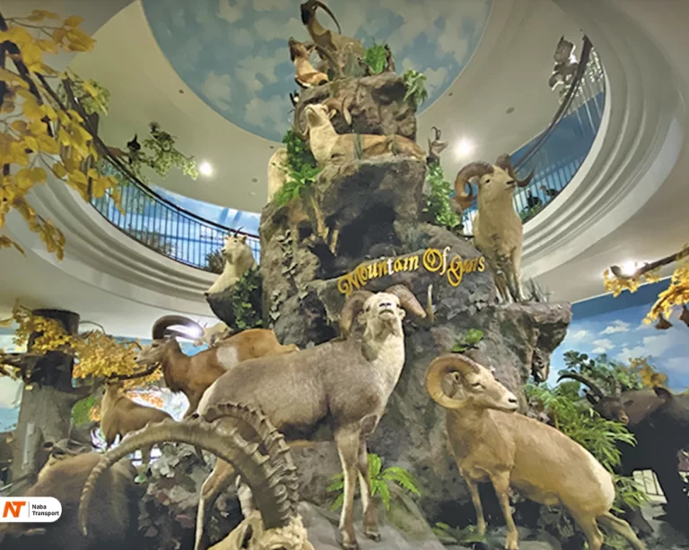 Rahmat International Wildlife Museum & Gallery