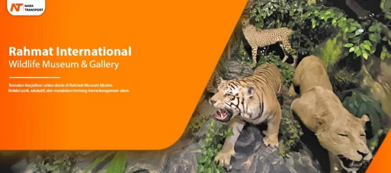 Read more about the article Rahmat International Wildlife Museum & Gallery