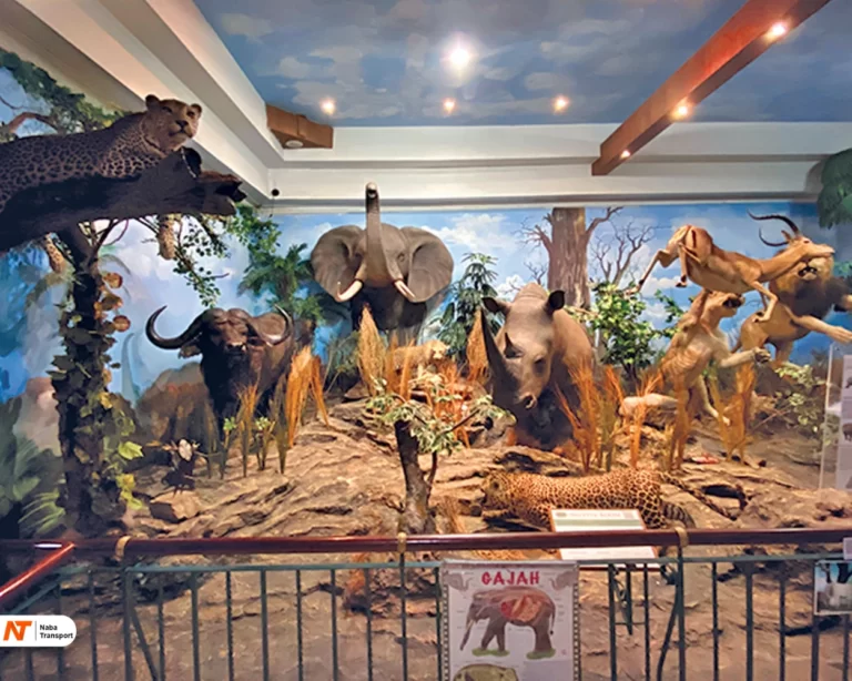 Rahmat International Wildlife Museum & Gallery