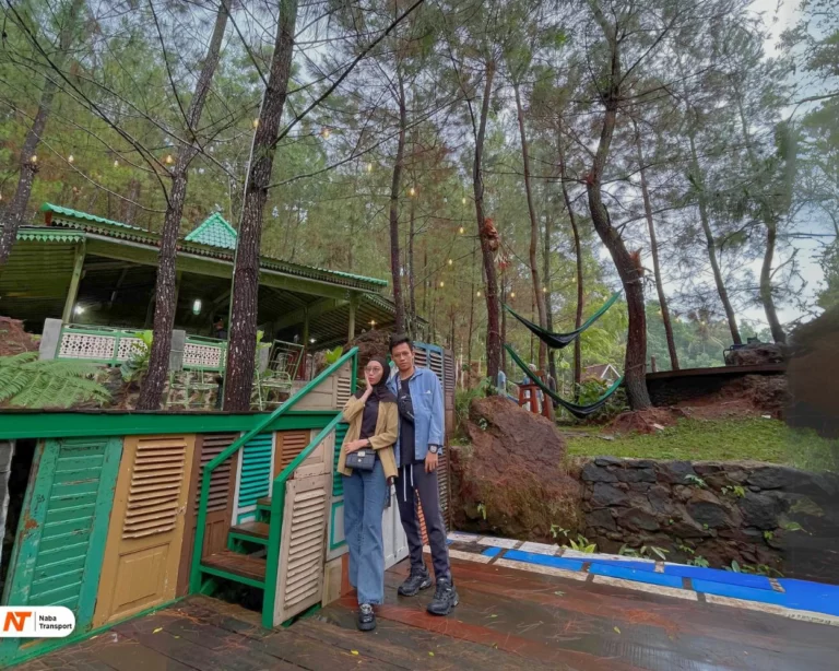 Spot Foto di LQ Forest