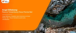 Read more about the article Angel Billabong: Pesona Alam Tersembunyi di Nusa Penida Bali