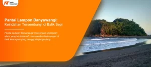 Read more about the article Pantai Lampon Banyuwangi: Keindahan Tersembunyi di Balik Sepi