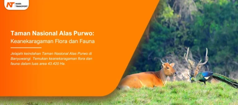 Read more about the article Taman Nasional Alas Purwo: Keanekaragaman Flora dan Fauna