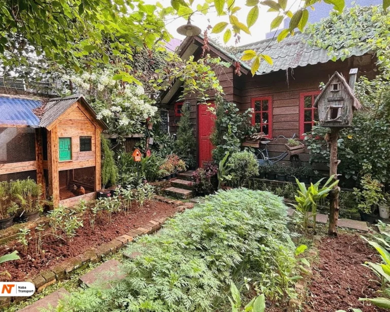 Mandira's Garden Cafe