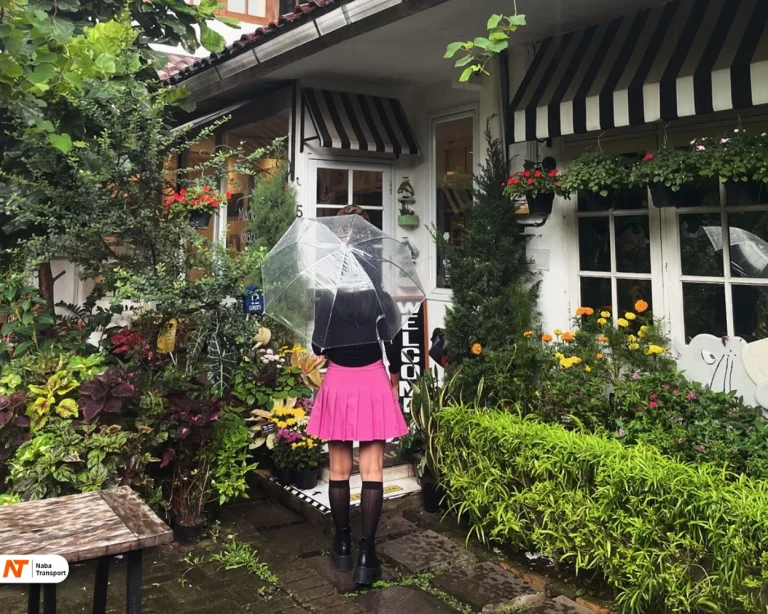 Mandira's Garden Cafe