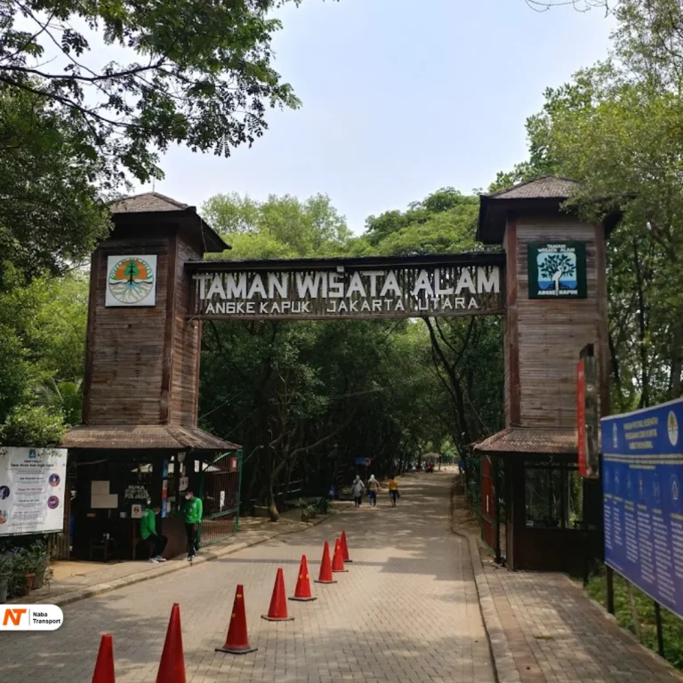 Source By Yayang Usman