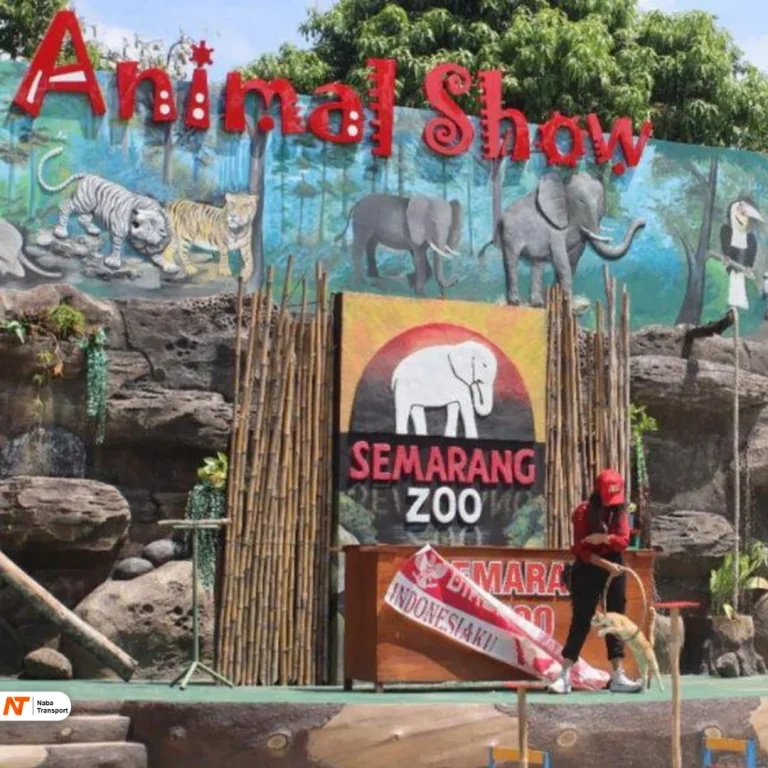 semarang zoo