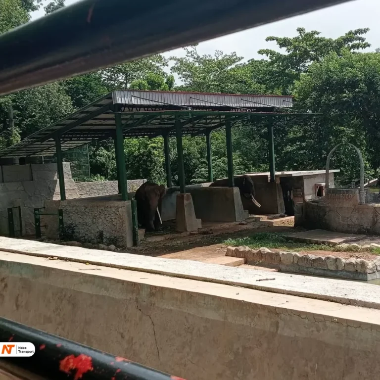 Source akurat jateng - aku