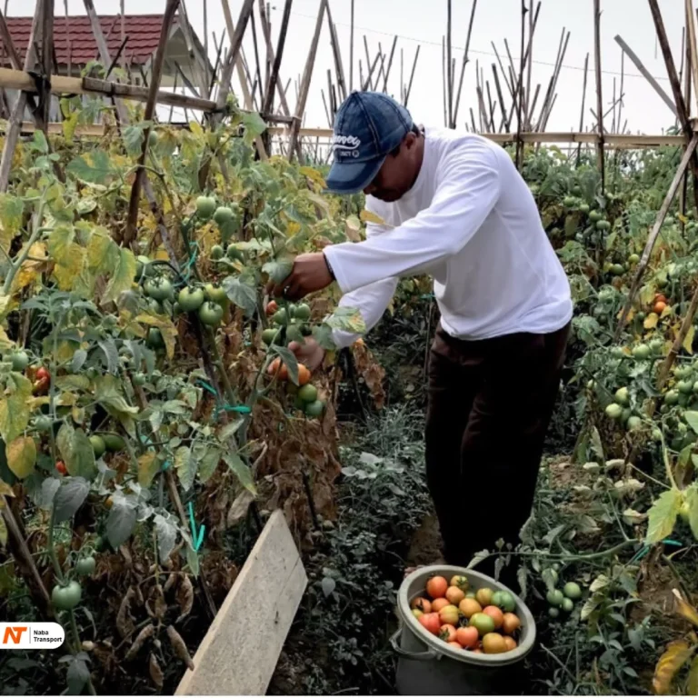 Source By Argowisata