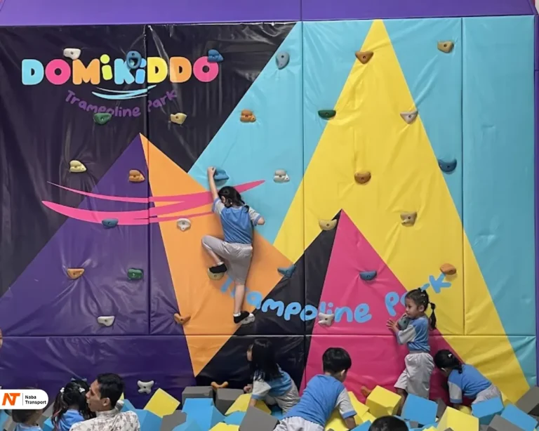Area Wall Climbing Source by Domikiddo trampoling park